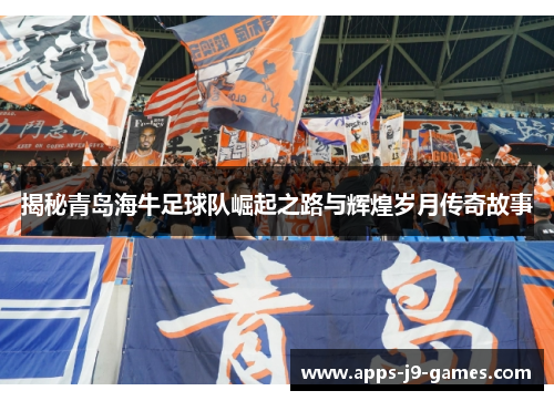 揭秘青岛海牛足球队崛起之路与辉煌岁月传奇故事